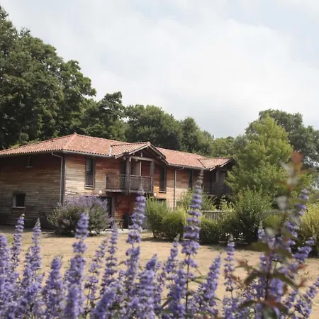 Messanges - Domaine De La Prade V 3p M8p Villa